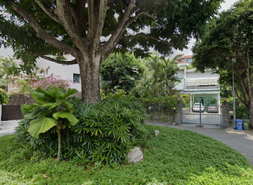 singapore/coney-island/landmark/great-shelford-tree