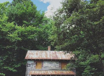 maryland/eastern-shore/landmark/battle-creek-cypress-swamp