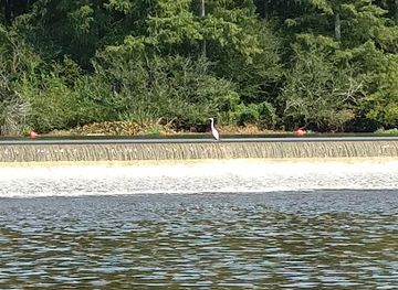 louisiana/caddo-lake/landmark/caddo-lake-dam