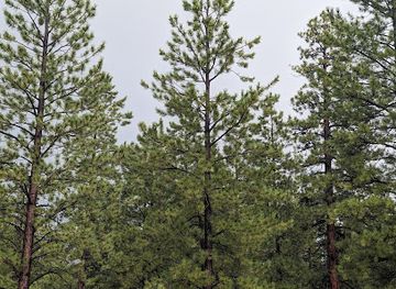 utah/bryce-canyon-city/landmark/additional-parking-lot