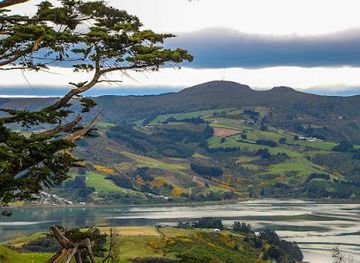 new-zealand/otago/landmark/otago-harbour