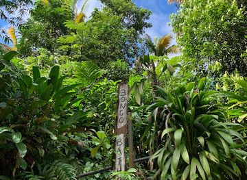 dominica/batalie-beach/landmark/bongo-baths