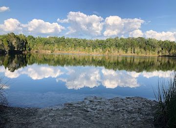 florida/homosassa-springs-wildlife-state-park/landmark/homosassa-wildlife-management-area