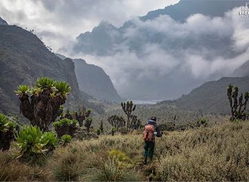 uganda/rwenzori-mountains-national-park/landmark/rwenzori-forest-reserve