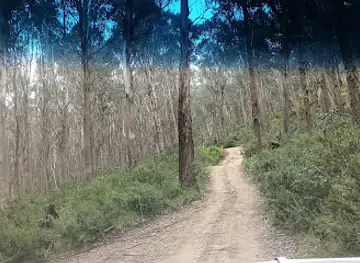 High Country Scenic Tours