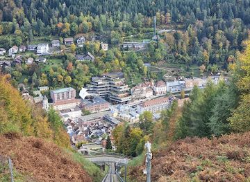 germany/black-forest/landmark/baumwipfelpfad-schwarzwald