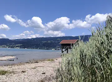 Uferkunst Bregenz