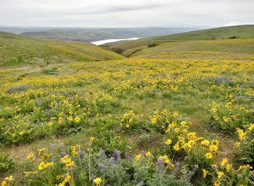 oregon/wasco-county/landmark/crawford-oaks-trailhead