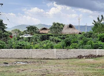 colombia/insular-region/landmark/santuario-de-flora-y-fauna-los-colorados