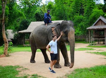laos/luang-prabang-province/landmark/elephant-village-sanctuary-resort