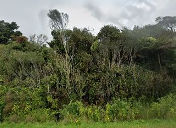 new-zealand/punakaiki/landmark/petrel-colony-tours