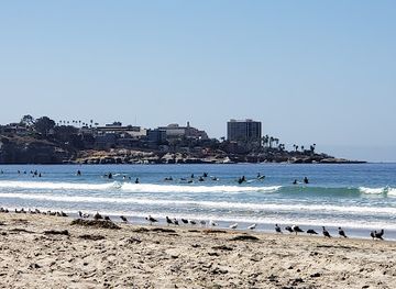 california/san-diego-beaches/landmark/la-jolla-shores-beach
