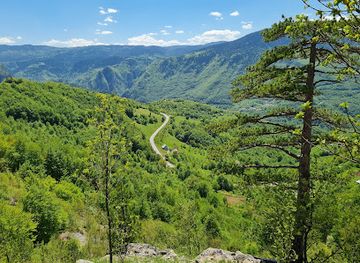 montenegro/durmitor-national-park/landmark/vidikovac-kanjon-tare-viewpoint-tara-canyon
