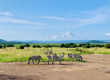 rwanda/akagera-national-park/landmark/go-kigali-tours-boutique