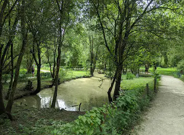 LES OISEAUX DU MARAIS POITEVIN Parc Ornithologique et Embarcadère