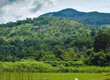 sri-lanka/kandy-district/landmark/megoda-kalugamuwa-ambalama