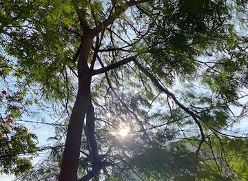 india/hyderabad/jubilee-hills/landmark/banjara-house