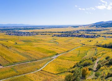 france/alsace-wine-route/landmark/domaine-martin-jund