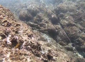 british-virgin-islands/peter-island/landmark/trunk-cay-united-states-virgin-islands