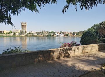 egypt/aswan/landmark/aswan-botanical-garden