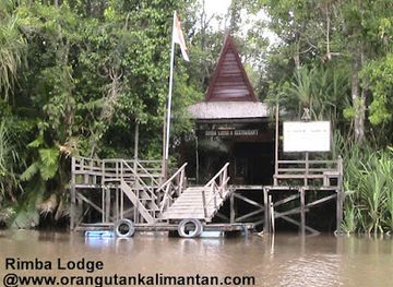 indonesia/kalimantan/landmark/pt-orang-utan-kalimantan-tour-travel