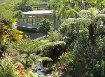 new-zealand/northland/landmark/whangarei-quarry-gardens