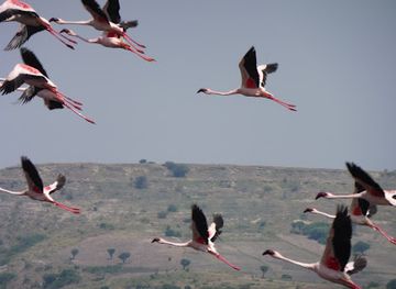 uganda/entebbe/landmark/wild-discoveries-safaris-uganda