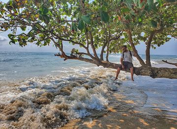 equatorial-guinea/mbini/landmark/sous-les-cocotiers