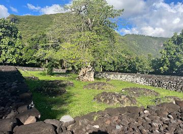french-polynesia/society-islands/landmark/marae-ta-ata