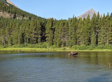 montana/glacier-national-park/landmark/fishercap-lake