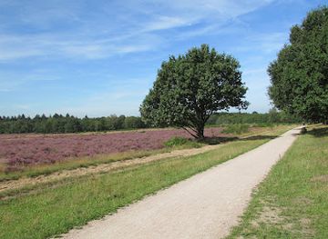 netherlands/gooi/landmark/hoorneboegse-heide