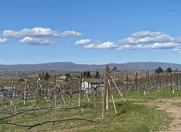 Wilridge Vineyard, Winery & Distillery