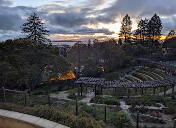 california/berkeley/downtown-berkeley/landmark/berkeley-rose-garden