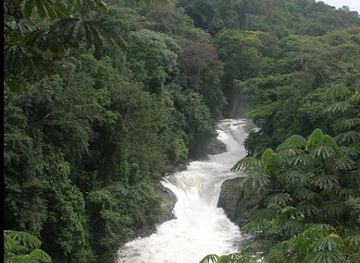 cameroon/adamawa/landmark/cross-river-national-park