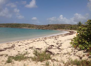 puerto-rico/vieques/landmark/secret-beach