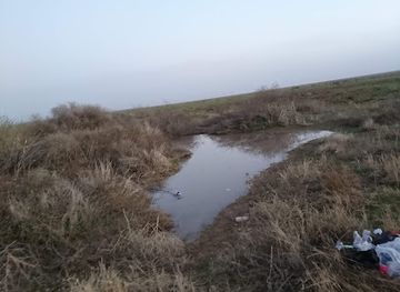 iraq/southern-iraq/landmark/great-hor