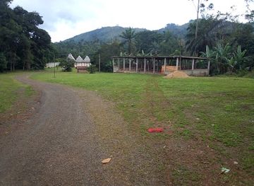 cameroon/bamenda/landmark/chefferie-bafang