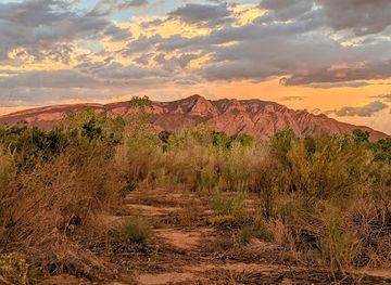 new-mexico/bernalillo/landmark/willow-creek-trailhead-and-open-space