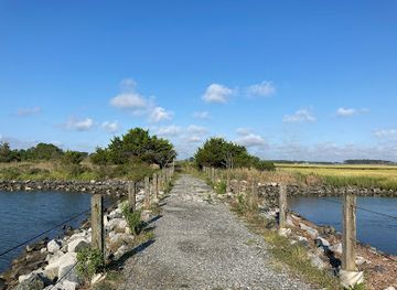 delaware/delaware-seashore-state-park/landmark/burton-island-trailhead
