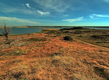 denmark/thy-national-park/landmark/isbjerg-nationalpark-thy