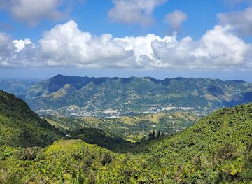 puerto-rico/central-mountain-range/landmark/bosque-estatal-toro-negro