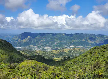 Bosque Estatal Toro Negro