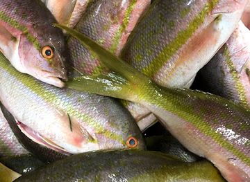 honduras/la-ceiba/landmark/mariscos-sam