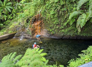 dominica/emerald-pool/landmark/morne-trois-pitons-national-park
