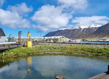 iceland/highlands/landmark/the-herring-era-museum