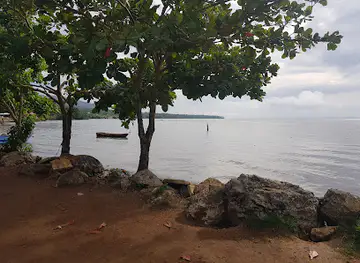 Sanchez Boardwalk