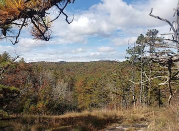north-carolina/sandhills/landmark/dupont-state-recreational-forest