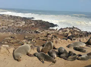 Cape Cross Seal Reserve