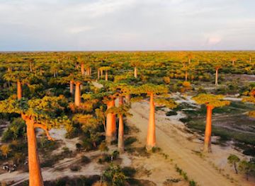 madagascar/analamanga/landmark/mada-sky-tours