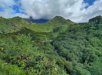 french-polynesia/tahiti/landmark/tahiti-safari-expedition